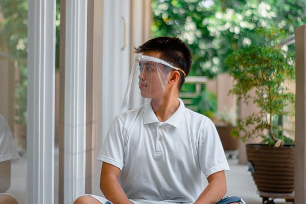 Protection Sur-Mesure pour Animaux Exotiques : Assurez Vos Compagnons Inhabituels